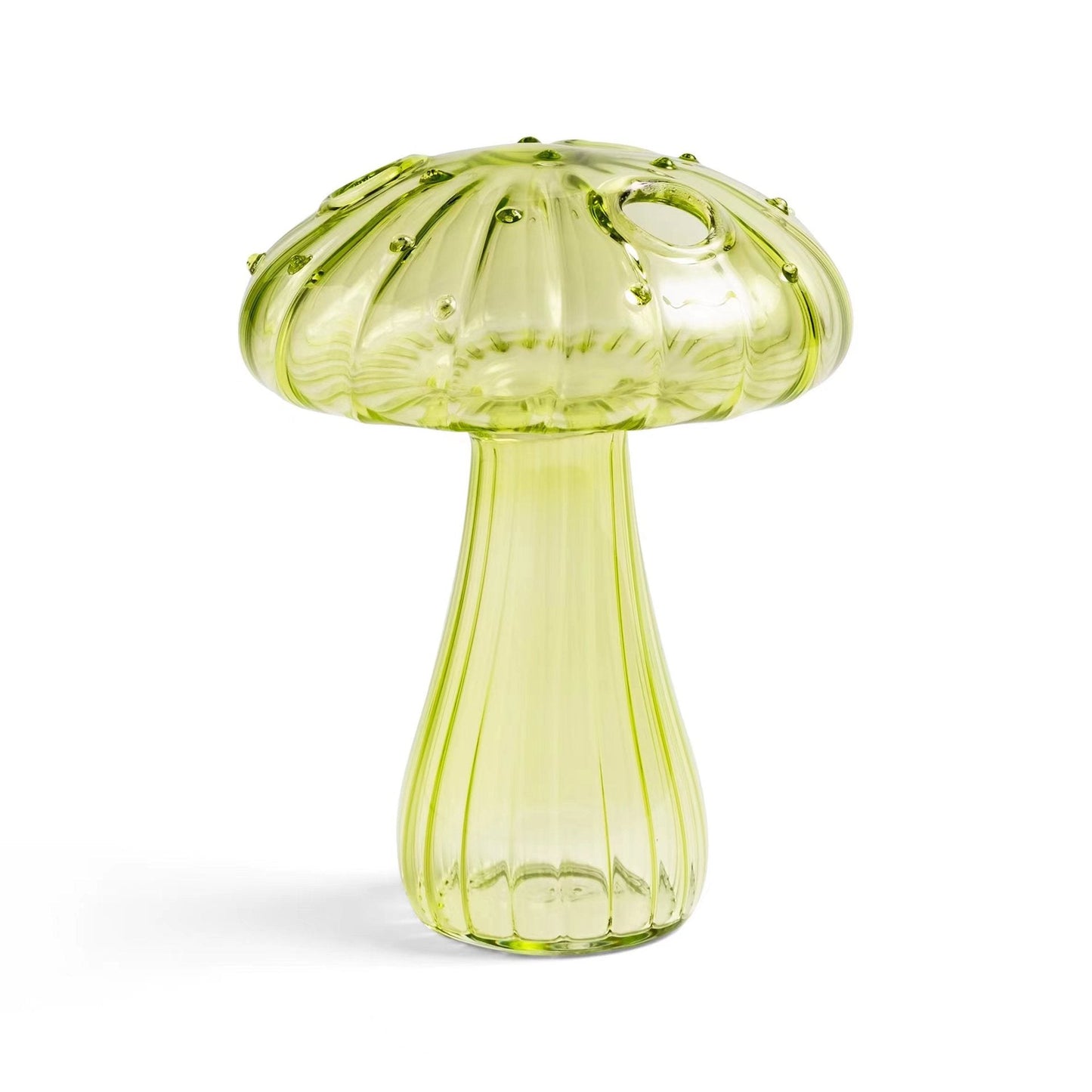 Vase Champignon en Verre – Vase Hydroponique & Décoration Maison Zen MINHBATTI